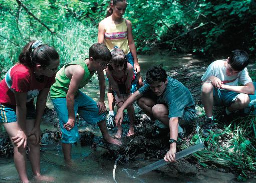 Six students collecting water samples by a stream. © Tim McCabe, NRCS