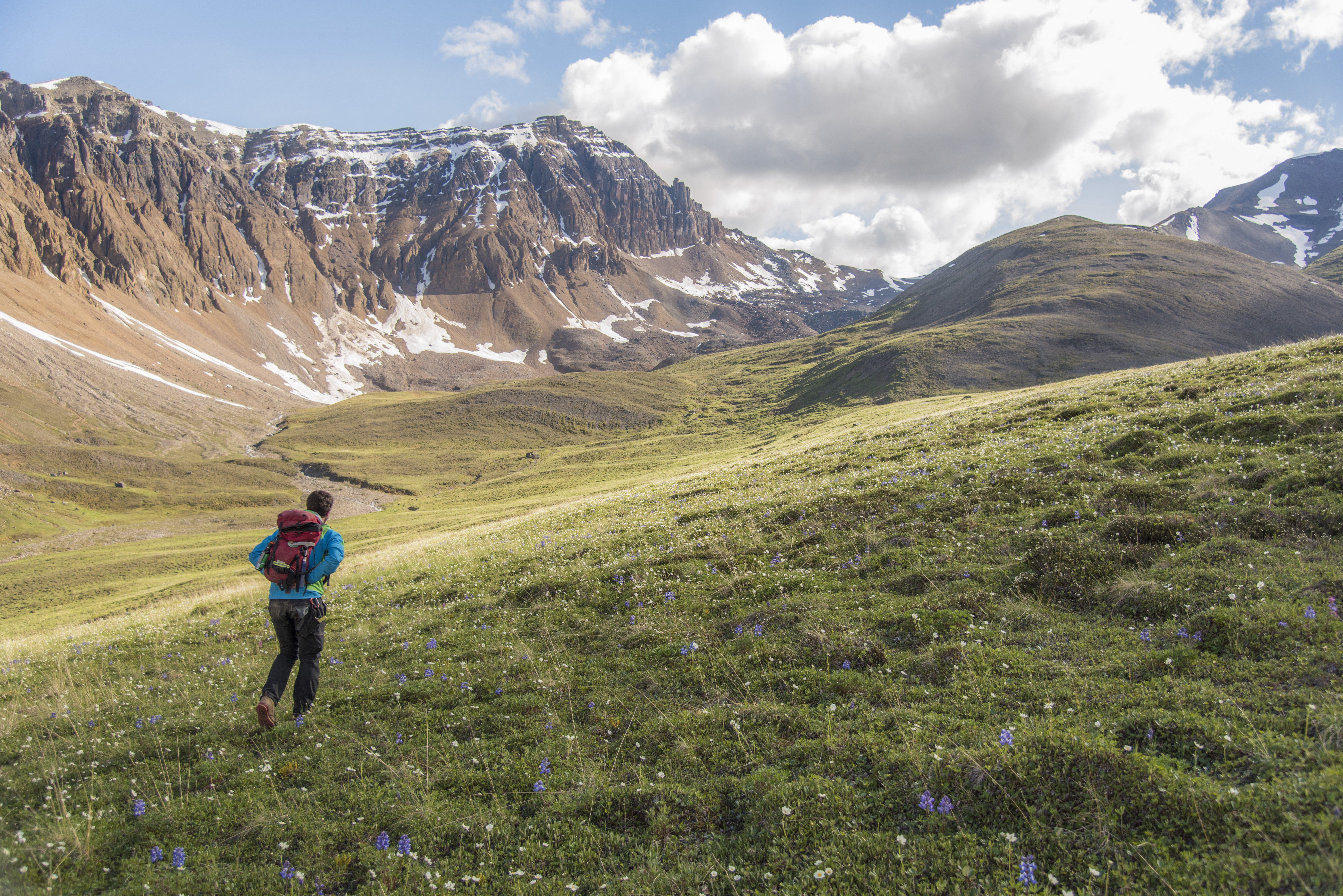 Hiker in a grassy valley