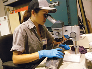 Female student looking through a microscope.