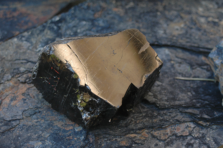 Anthracite coal. Image Credit: Donna Pizzarelli, U.S. Geological Survey