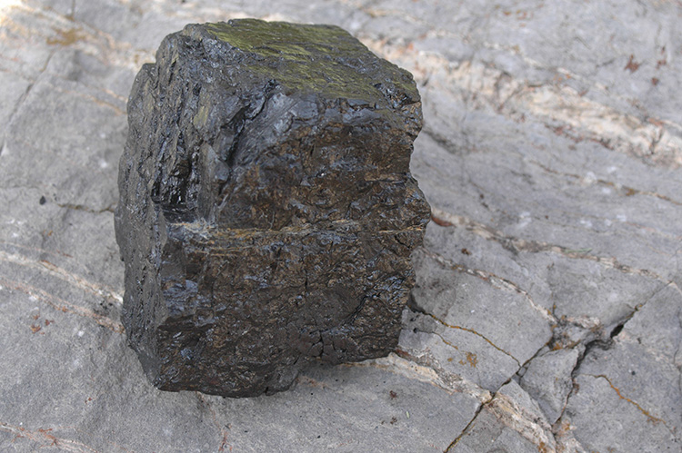 Bituminous coal. Image Credit: Donna Pizzarelli, U.S. Geological Survey