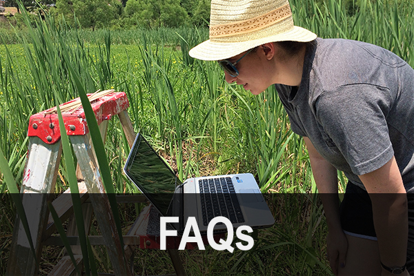 Taking spectral measurements of wetland vegetation in Raleigh, N.C. (© Megan Amanatides)