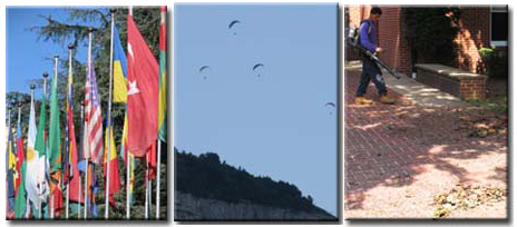 many flags and the UN building in Switzerland, base jumpers floating in the air by a cliff near Geneva, a man blowing leaves with a leaf blower
