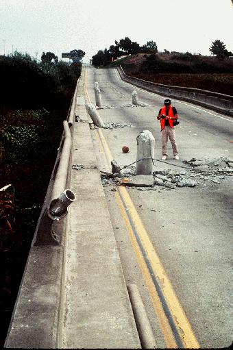 A seismologist studying earthquake damage