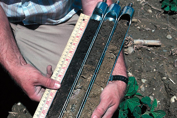 Three soil profiles show the differences in slightly eroded versus severely eroded soils. (Photo by Lynn Betts, courtesy of USDA NRCS)