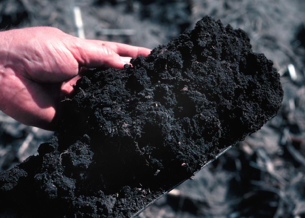 Rich topsoil from one of Iowa's best soils.