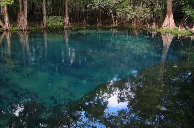 A groundwater spring in Florida. Image Credit: Stewart Tomlinson, U.S. Geological Survey