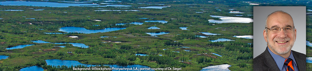 Portrait of Dr. Donald Siegel. Background aerial image of a wetland area. Background: ©iStockphoto/Pristyazhnyuk S.A.
