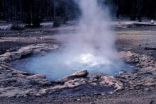 Geyser in West Basin of Yellowstone National Park. Image Copyright © Bruce Molnia, Terra Photographics