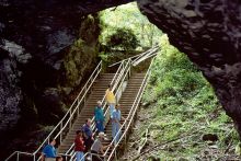 Fig 1. A NPS ranger leads visitors into the mouth of Mammoth Cave National Park, Kentucky. 