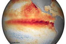 The National Oceanic and Atmospheric Administration‘s (NOAA) map of sea surface temperature anomalies shows warmer surface water temperatures in the eastern equatorial Pacific Ocean during El Niño. Image Credit: NOAA