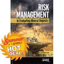 The cover of Risk Management in Evaluating Mineral Deposits. 