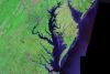 Image of the Chesapeake Bay taken from Landsat satellite data.