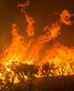 Wildfire flames and vegetation during the Thomas fire, California. Image Credit: U.S. Forest Service