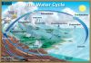 The Water Cycle: Graphic showing the movement of water through the water cycle. (Illustration by John Evans, Howard Perlman, USGS) http://water.usgs.gov/edu/watercycle.html