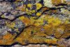 This rhyolite, which shows exfoliation shingles, is being attacked by lichens.