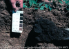 All the soils in Iowa have been surveyed and cataloged as part of the cooperative soil survey. Soil color is one of the items in the soils database people find useful.