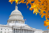 Image of the U.S. Capitol Dome with autumn leaves on trees. 