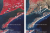 Pre-Ike (left) and post-Ike (right) ASTER imagery of Galveston Island, the Bolívar Peninsula, and the mainland in August 2006. Healthy (red) and dead (brown) vegetation shows storm surge inundation effects. Image Credit: Jesse Allen, NASA Earth Observ.