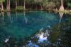 A groundwater spring in Florida. Image Credit: Stewart Tomlinson, U.S. Geological Survey