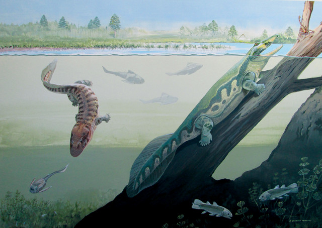 First Antarctic tetrapods