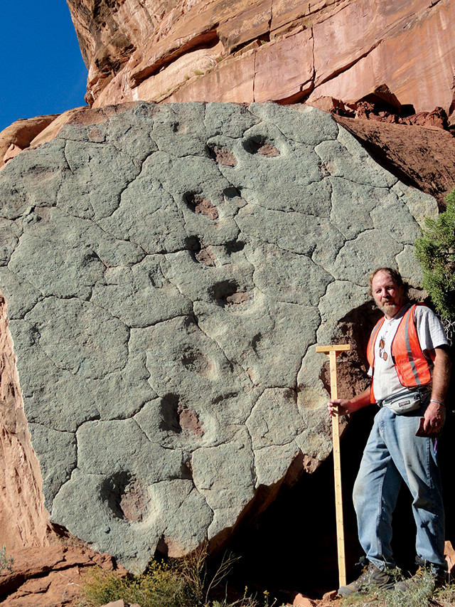 Fossil of oldest pterodactyl discovered in Utah desert