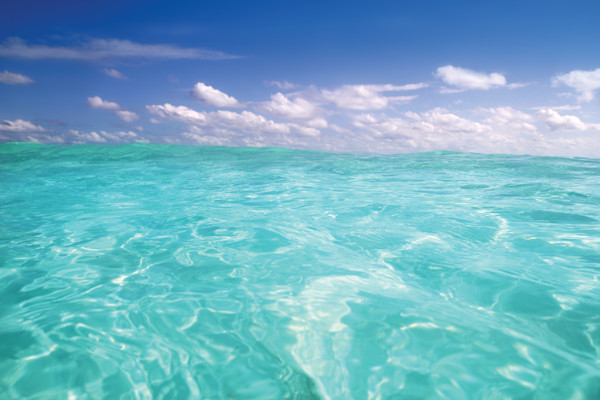 All About the Ocean