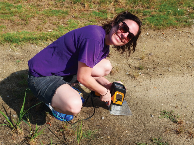 Zinc Phytoremediation Using Stubborn Grass