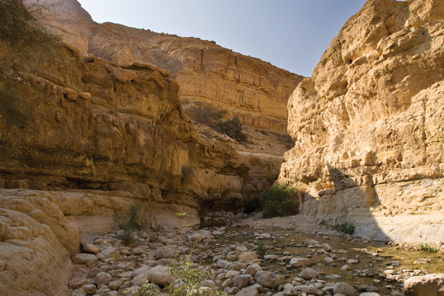 Travels in Geology: Soaking up the Dead Sea: A trip to Israel's