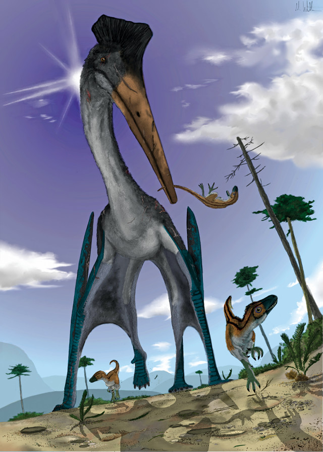 Tricky take-off limited pterosaur size