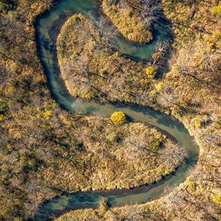 Midwest Regional Carbon Initiative and Related Projects