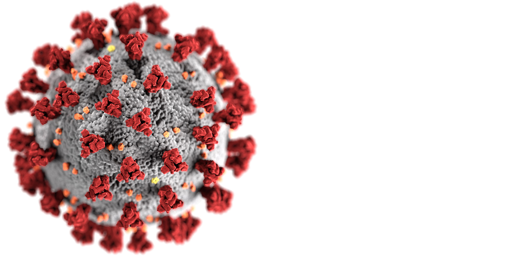 COVID-19 Virus
