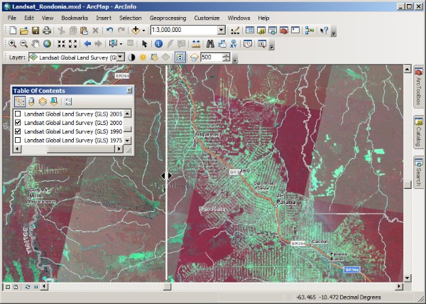 “False color” representation of Rondonia region, showing tree cutting.