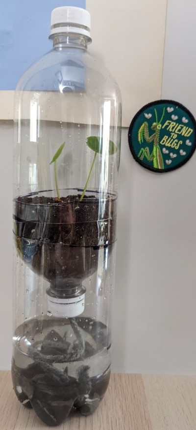 Figure 2 for “From Trash to Terrarium” 2023 Earth Science Week Activity