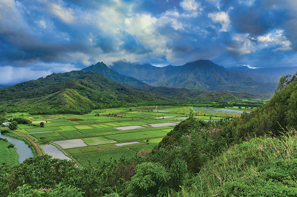 Hanalei Valley KauaiHawaii