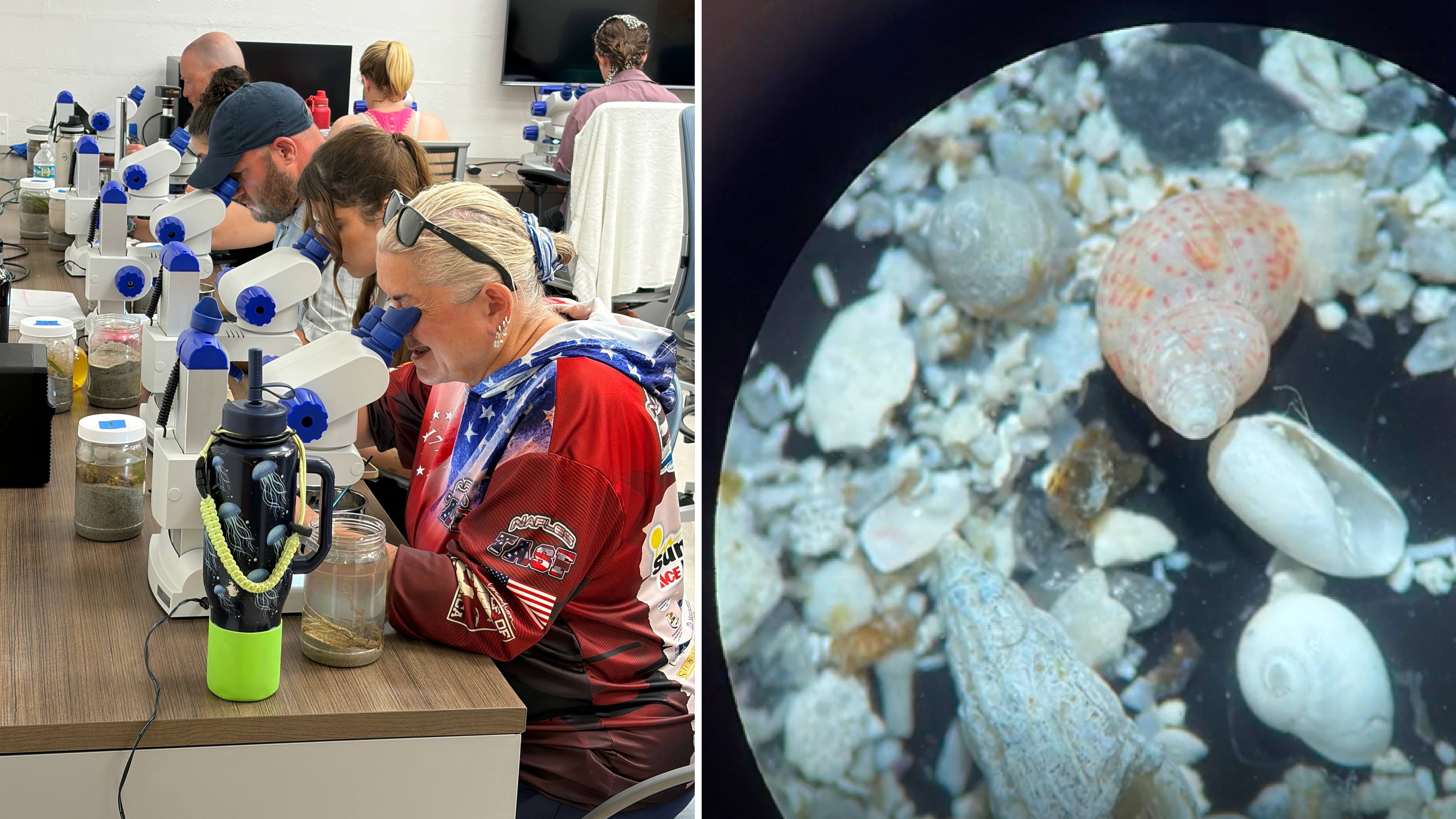 Teachers looking at sand samples under a microscope and an example of sediment under a microscope.