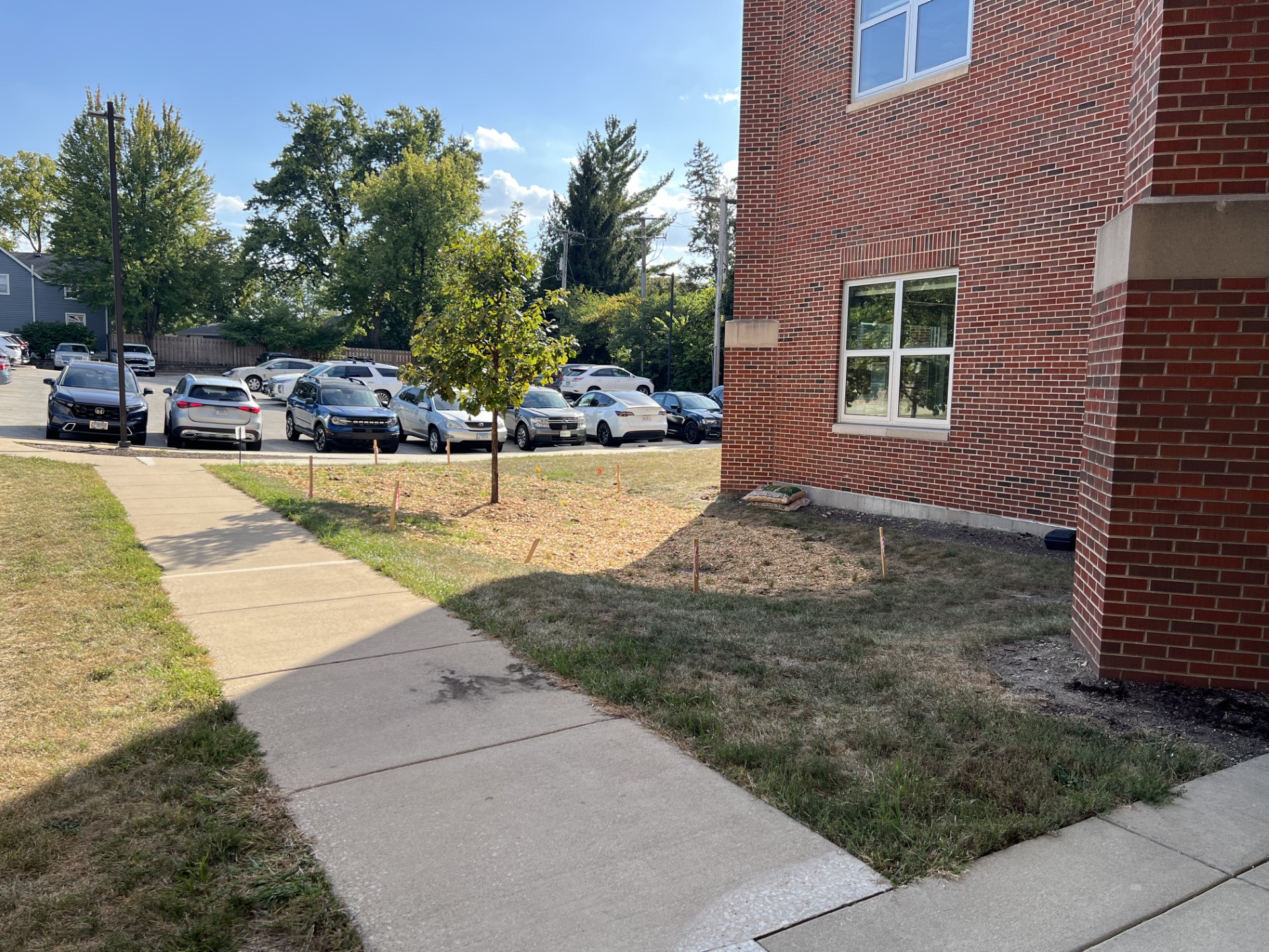 rain garden installed at a high school
