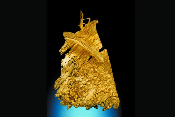 Figure 1: Gold, 3.3 cm high, Round Mountain Mine, Nye County, Nevada. L. McMaster collection. Credit: J. Scovil