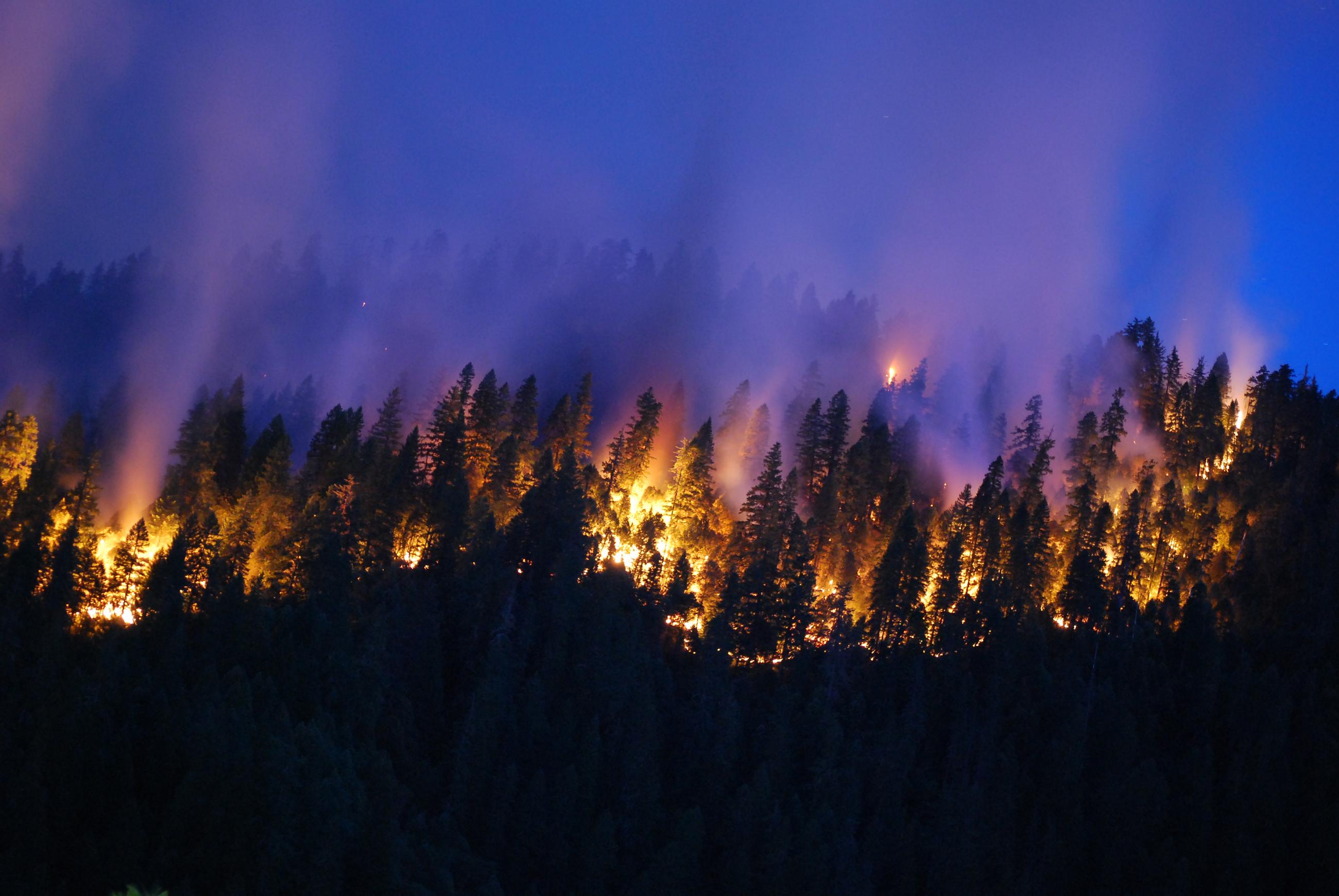 A forest fire burns behind a lake.