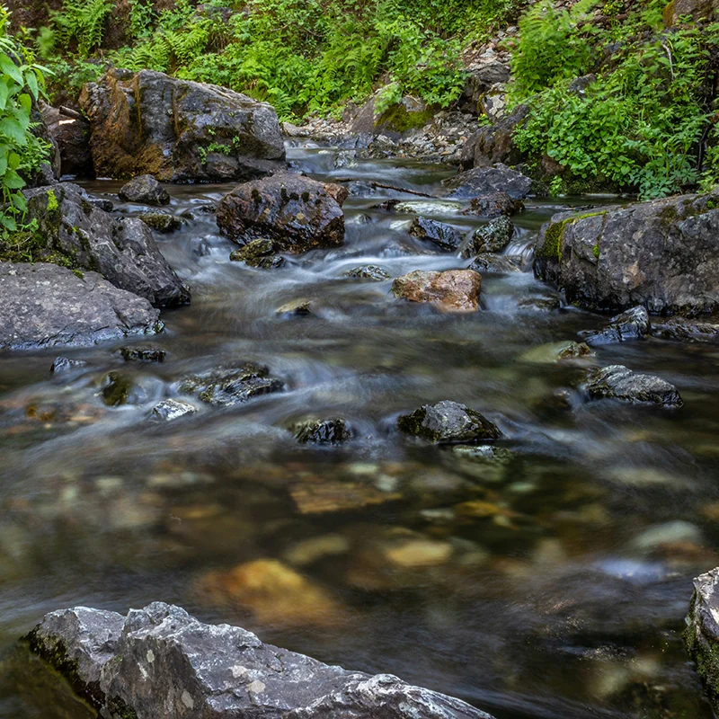 Groundwater