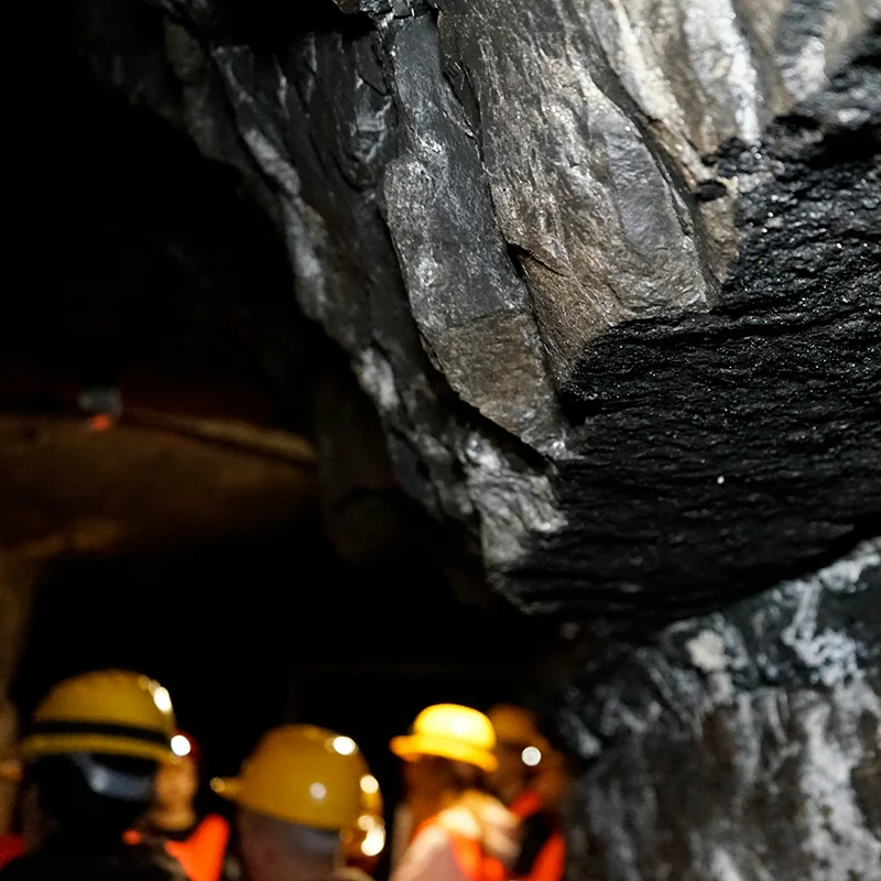 Coal